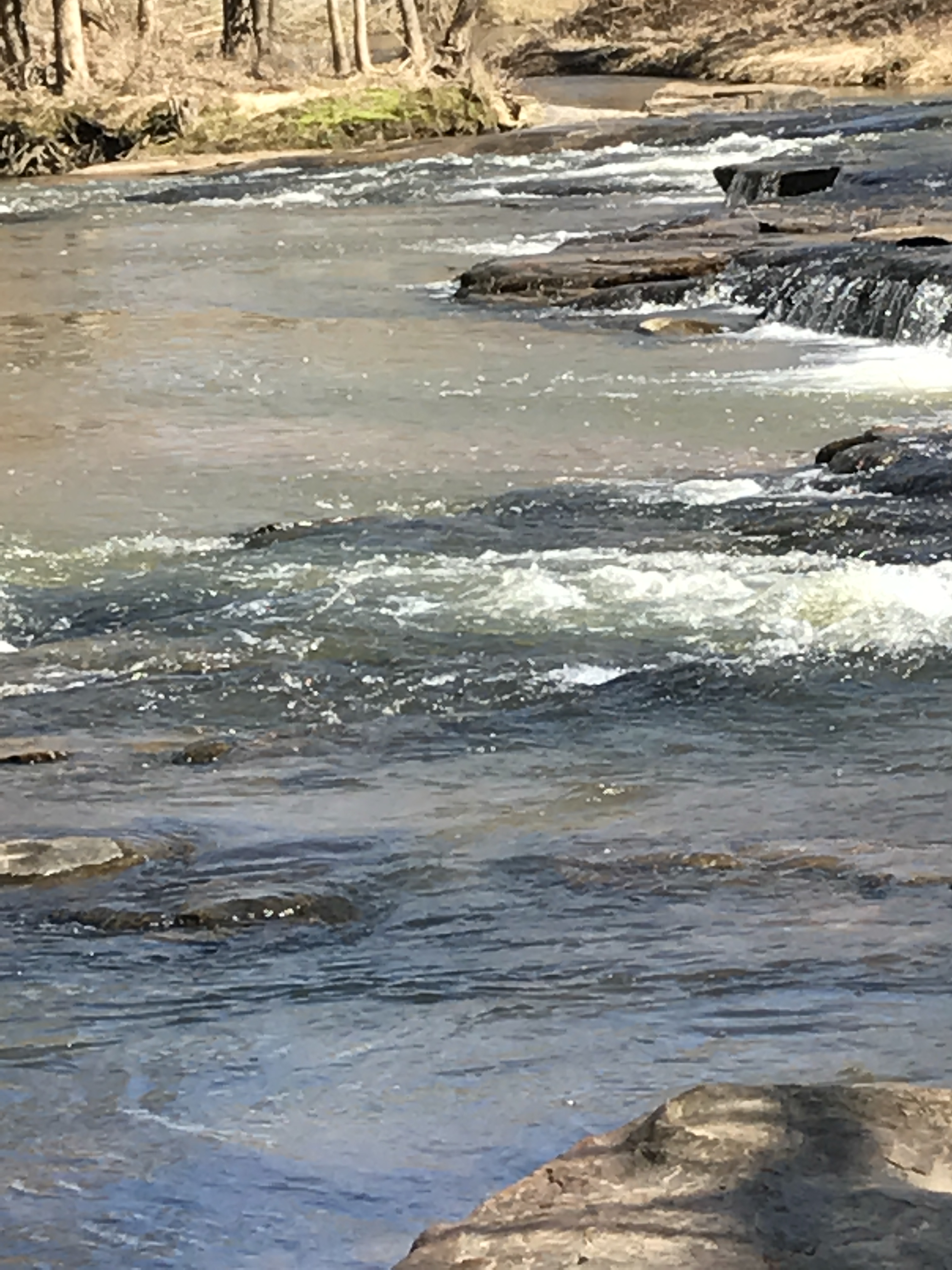 C5873A88-4E8B-4209-9FE8-B63FCEAB9E9B